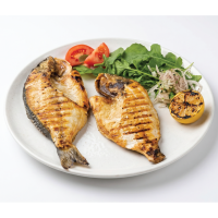 Deniz Çuprası-Sea Bream
